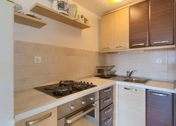 Boris 771 Apartment *